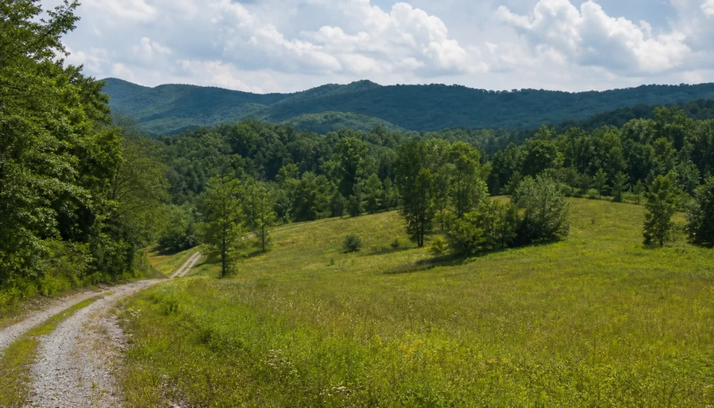 California Land Buyers: How to Find Cash Buyers for Your Land section image 2